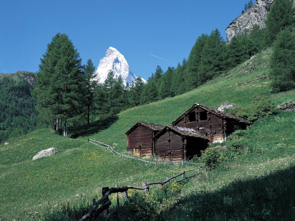Apartment Richemont By Interhome Zermatt Luaran gambar
